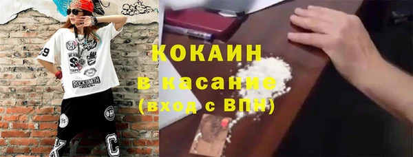 дурь Туринск