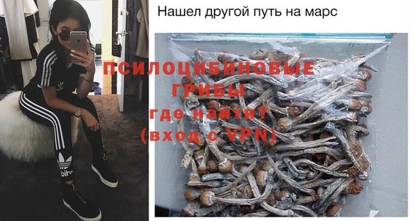 экстази Вяземский
